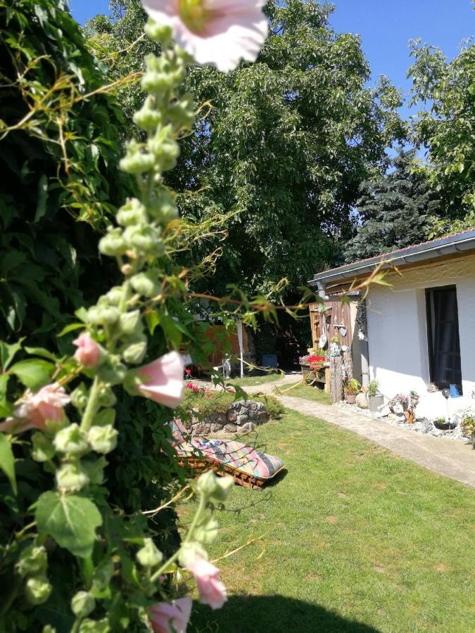 Bungalow Bei Warnemuende Elmenhorst/Lichtenhagen Bagian luar foto